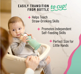 HONEY BEAR TRAINER CUP -  SEAFOAM (VERDE CLARO)